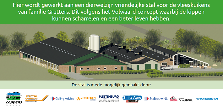 containerframe-spandoek-ontwerp