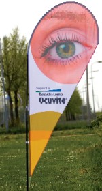 150 x 350 easybeachvlag