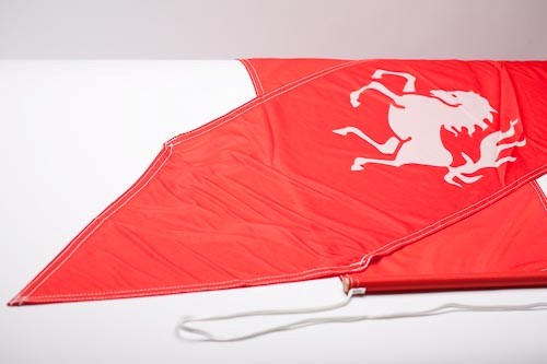 kaak wimpel twentse ros