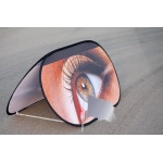 pop up display