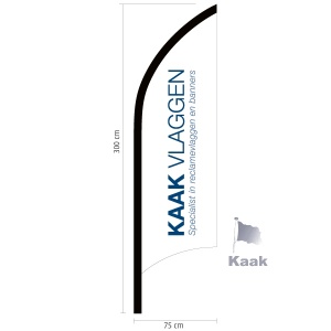 beachvlag
