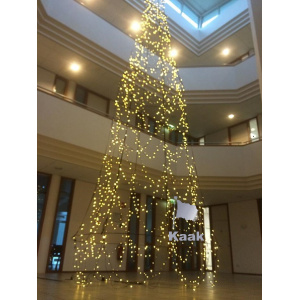 indoor_kerstboom_1712589695